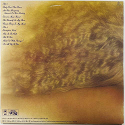 Wild Cherry 1977 81846 Electrified Funk Begagnat LP