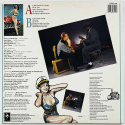 Anson Funderburgh & The Rockets 1987 FIEND 104 Sins Begagnat LP
