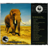 Matti Rag Paananen CD The Sounds of Wild, villieläinlevy  kansi EX levy EX Käytetty CD