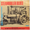 Elvis: Steamroller Blues / Fool - käytetty vinyylisingle PS VG / VG+