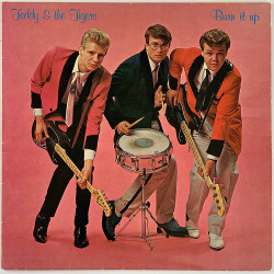 Teddy & the Tigers LP Burn it up  kansi EX- levy VG+ Käytetty LP