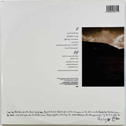 Tikaram Tanita LP Ancient heart  kansi EX- levy EX Käytetty LP