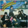 Boys LP Alternative Chartbusters  kansi VG+ levy EX Käytetty LP
