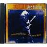 Satriani Joe  Amazing Guitar - The Very Best  kansi EX levy EX Käytetty CD