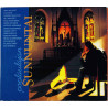 Heikki Silvennoinen, Eero Raittinen ym. CD Poplaulajan Sunnuntai  kansi EX levy EX Käytetty CD