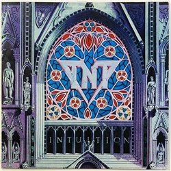 TNT LP Intuition  kansi VG+ levy G Käytetty LP