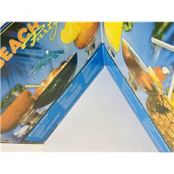 Jan & Dean, Beach Boys, Surfers ym. LP Beach Party 2LP  kansi EX levy EX Käytetty LP