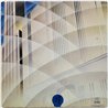 Earth Quake LP 8.5  kansi G+ levy G+ Käytetty LP