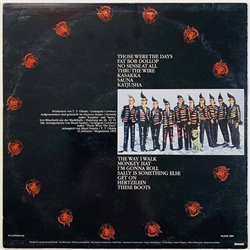 Leningrad Cowboys LP We Cum From Brooklyn  kansi VG levy VG+ Käytetty LP