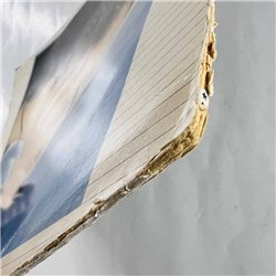 Spyro Gyra LP Freetime  kansi G+ levy EX Käytetty LP