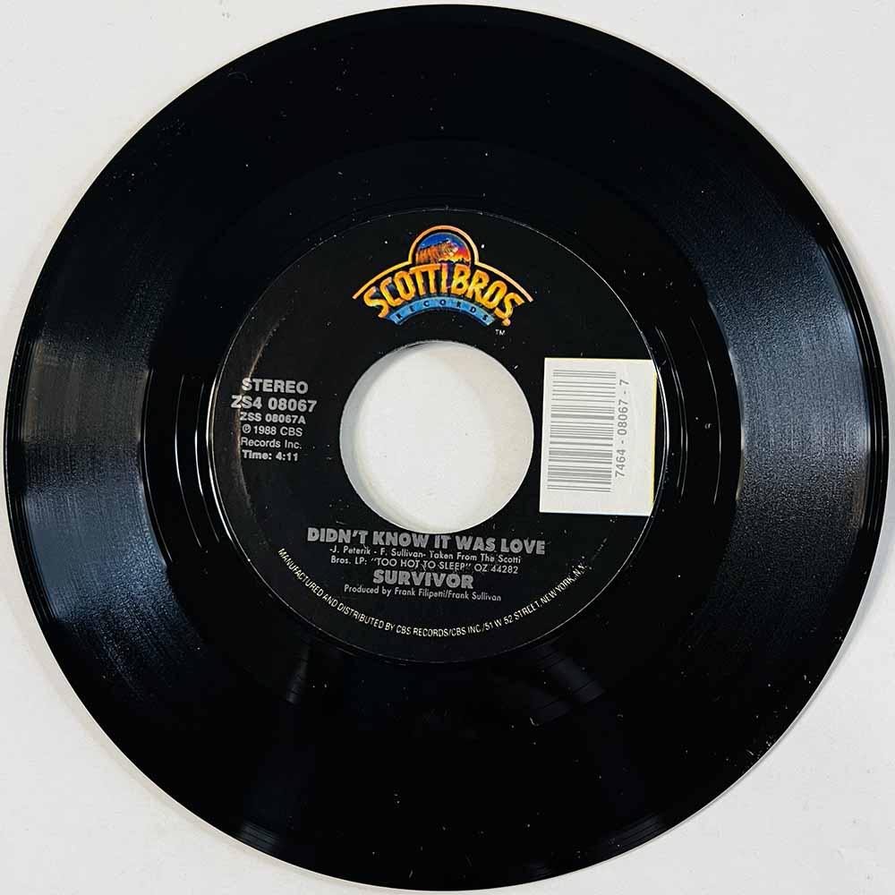 Survivor 1988 ZS4 08067 Didn't Know It Was Love begagnad singelskiva