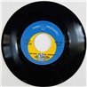 Lou Christie 1973 THB 402 Beyond The Blue Horizon / Saddle The Wind begagnad singelskiva