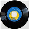 Lou Christie 1973 THB 402 Beyond The Blue Horizon / Saddle The Wind begagnad singelskiva