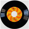McCoys Käytetty 7” ei kuvakantta Jesse Brady  kansi Ei kuvakantta levy VG+ käytetty vinyylisingle