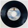 Dictators Käytetty 7” ei kuvakantta Search & Destroy  kansi Ei kuvakantta levy EX käytetty vinyylisingle
