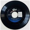 Estefan Gloria Käytetty 7” ei kuvakantta Don't Wanna Lose You  kansi Ei kuvakantta levy EX käytetty vinyylisingle