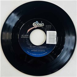 Estefan Gloria Käytetty 7” ei kuvakantta Don't Wanna Lose You  kansi Ei kuvakantta levy EX käytetty vinyylisingle