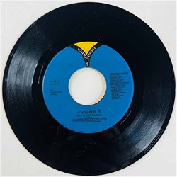 Lopez Denise 1988 VV-7213 If You Feel It begagnad singelskiva
