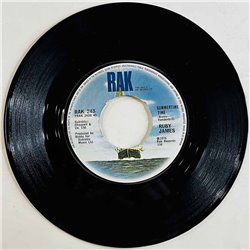 Ruby James 1976 RAK 243 You Burn A Hole In My Soul begagnad singelskiva