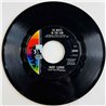 Gary Lewis & The Playboys 1967 55949 The Loser (With A Broken Heart) begagnad singelskiva
