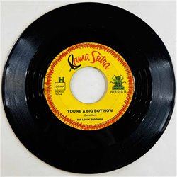 Lovin' Spoonful 1967 618 018 6 O'Clock / You're A Big Boy Now begagnad singelskiva