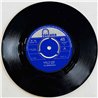 Mindbenders 1966 TF 731, 267611 TF Ashes To Ashes begagnad singelskiva