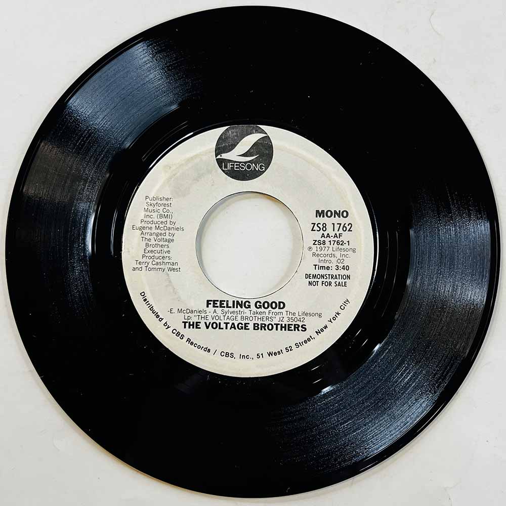 Voltage Brothers 1977 ZS8 1762 Feeling Good begagnad singelskiva
