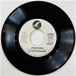 Voltage Brothers 1977 ZS8 1762 Feeling Good begagnad singelskiva