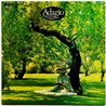Baroque Chamber Orchestra vinyl LP Adagio  kansi EX levy EX Käytetty LP