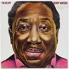 Waters Muddy 1978 SKY 82235 I’m ready Begagnat LP