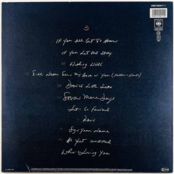 D'Arby Terence Trent  1987 CBS 450911 1 Introducing the hardline according to Begagnat LP
