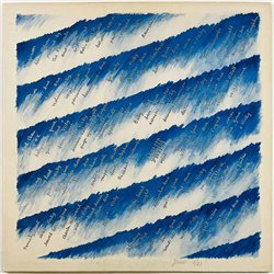 Raincoats 1981 ROUGH 13 Odyshape Begagnat LP