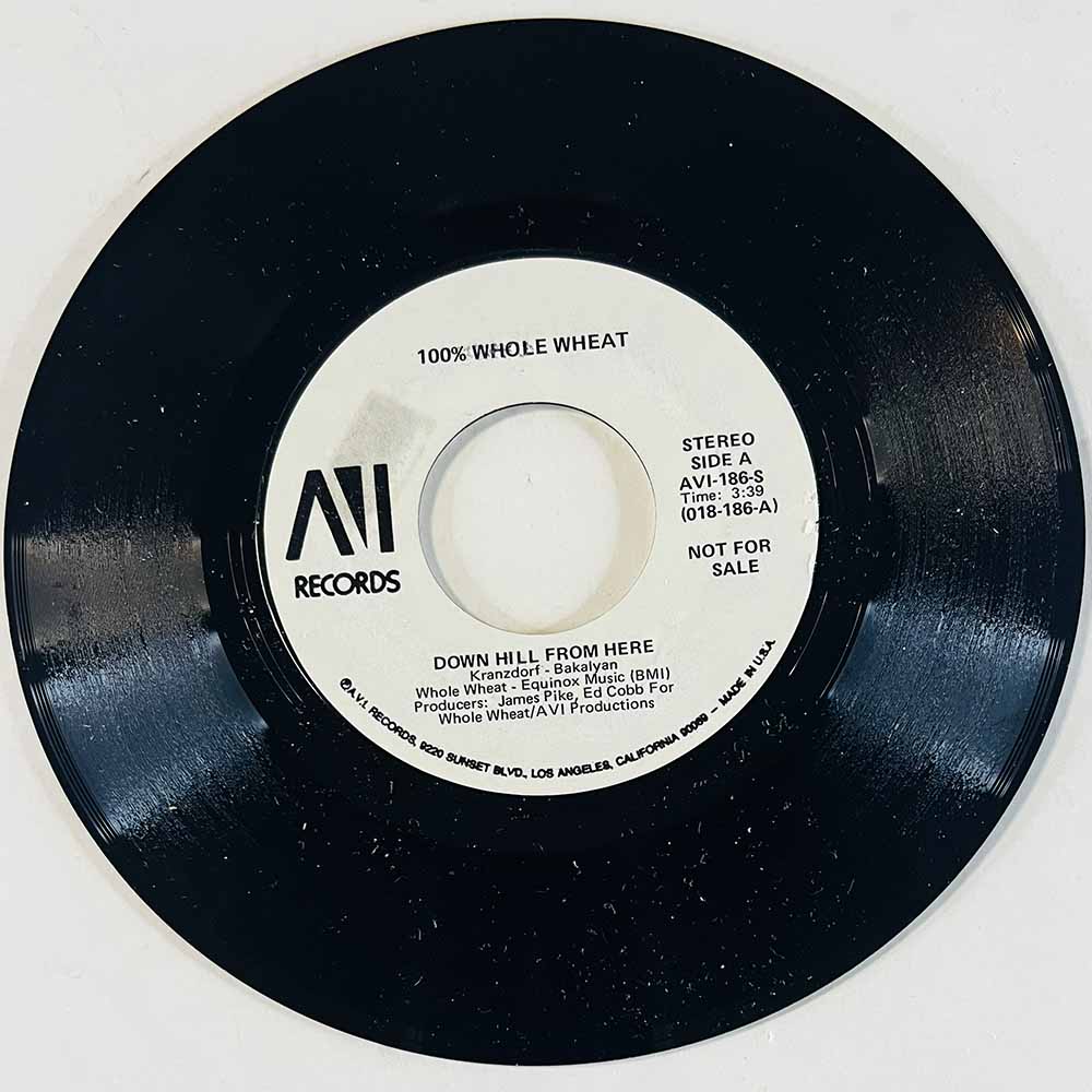 100% Whole Wheat Käytetty 7” ei kuvakantta Down Hill From Here  kansi Ei kuvakantta levy EX- käytetty vinyylisingle
