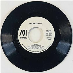 100% Whole Wheat Käytetty 7” ei kuvakantta Down Hill From Here  kansi Ei kuvakantta levy EX- käytetty vinyylisingle