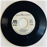 Richard Hewson Orchestra Käytetty 7” ei kuvakantta What Shall We Do When The Disco's Over?  kansi Ei kuvakantta levy vg+ käytett