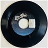Cheap Trick Käytetty 7” ei kuvakantta Never Had A Lot To Lose  kansi Ei kuvakantta levy ex käytetty vinyylisingle