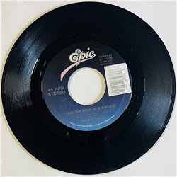 Cheap Trick Käytetty 7” ei kuvakantta Never Had A Lot To Lose  kansi Ei kuvakantta levy ex käytetty vinyylisingle