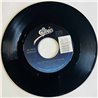 Cheap Trick Käytetty 7” ei kuvakantta Never Had A Lot To Lose  kansi Ei kuvakantta levy ex käytetty vinyylisingle