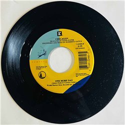 Chicago Käytetty 7” ei kuvakantta We Can Last Forever  kansi Ei kuvakantta levy ex käytetty vinyylisingle