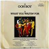 Rose Royce vinyylisingle Ooh Boy  kansi VG+ levy EX käytetty vinyylisingle