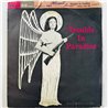 Winter Billy, Ken Wright vinyylisingle Trouble In Paradise / Love You So  kansi VG- levy VG+ käytetty vinyylisingle