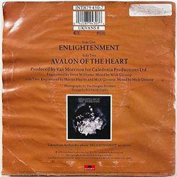 Morrison Van vinyylisingle Enlightenment / Avalon Of The Heart  kansi G levy EX- käytetty vinyylisingle