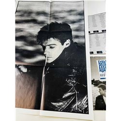 Adams Bryan vinyl LP Into the fire, mukana juliste  kansi VG- levy EX- Käytetty LP