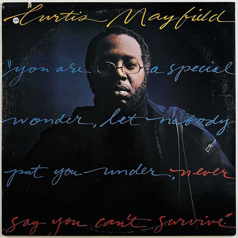 Mayfield Curtis vinyl LP Never say you can't survive  kansi EX- levy EX Käytetty LP