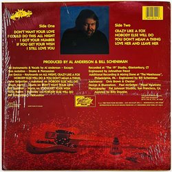 Anderson Al from NRBQ vinyl LP Party Favors  kansi EX levy EX Käytetty LP