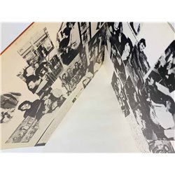 Lurkers vinyl LP Fulham fallout  kansi G+ levy EX Käytetty LP