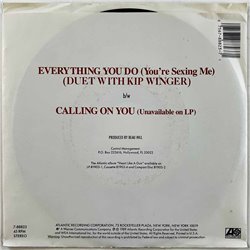 Fiona with Kip Winger vinyylisingle Everything You Do (You're Sexing Me)  kansi VG+ levy EX käytetty vinyylisingle