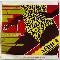 Key Of Dreams / The New Blackmen 1982 FL 14317 Africa / Synthajoy begagnad singelskiva
