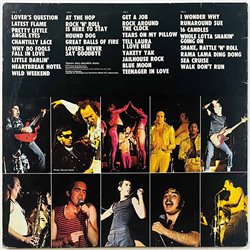 Shanana vinyl LP The golden age of rock’n’roll, recorded live 2LP  kansi VG- levy G+ Käytetty LP