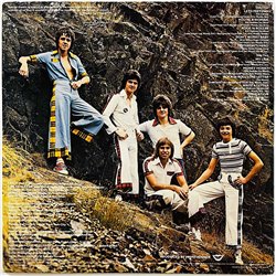 Bay City Rollers vinyl LP Dedication  kansi VG+ levy VG Käytetty LP